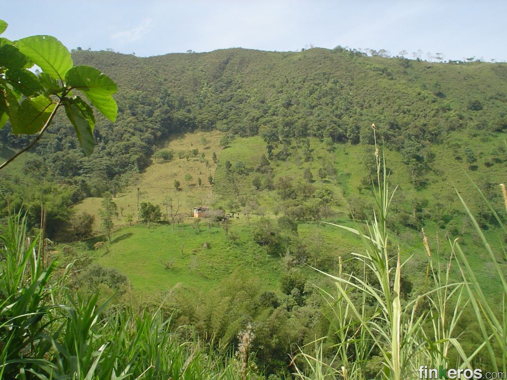 Finca en Venta en La Vega, Cundinamarca Venta de Fincas